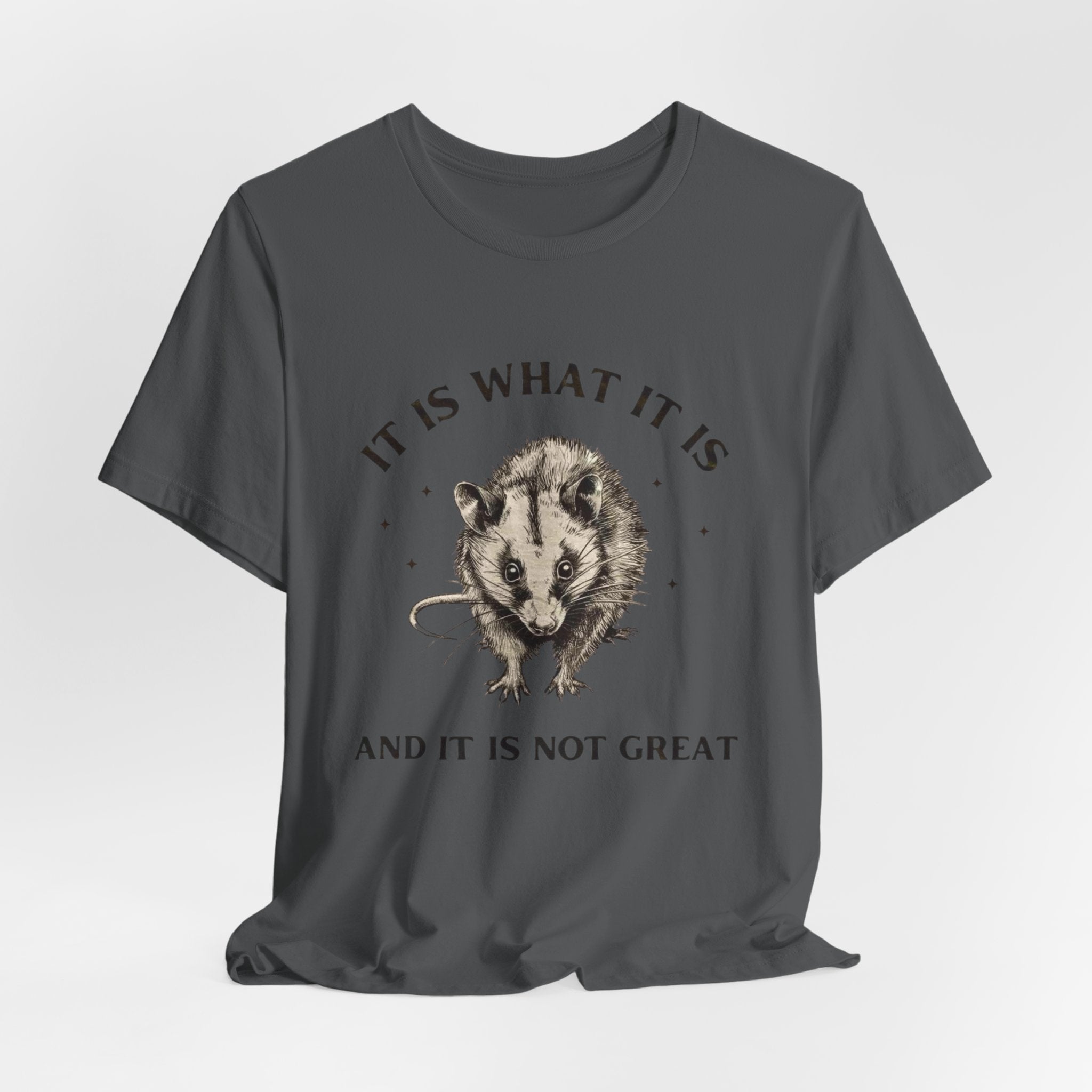 Humorous Opossum Tee - "It Is What It Is" Graphic T-Shirt, Funny Gift, Casual Wear, Animal Lover, Birthday, Gift for Friends