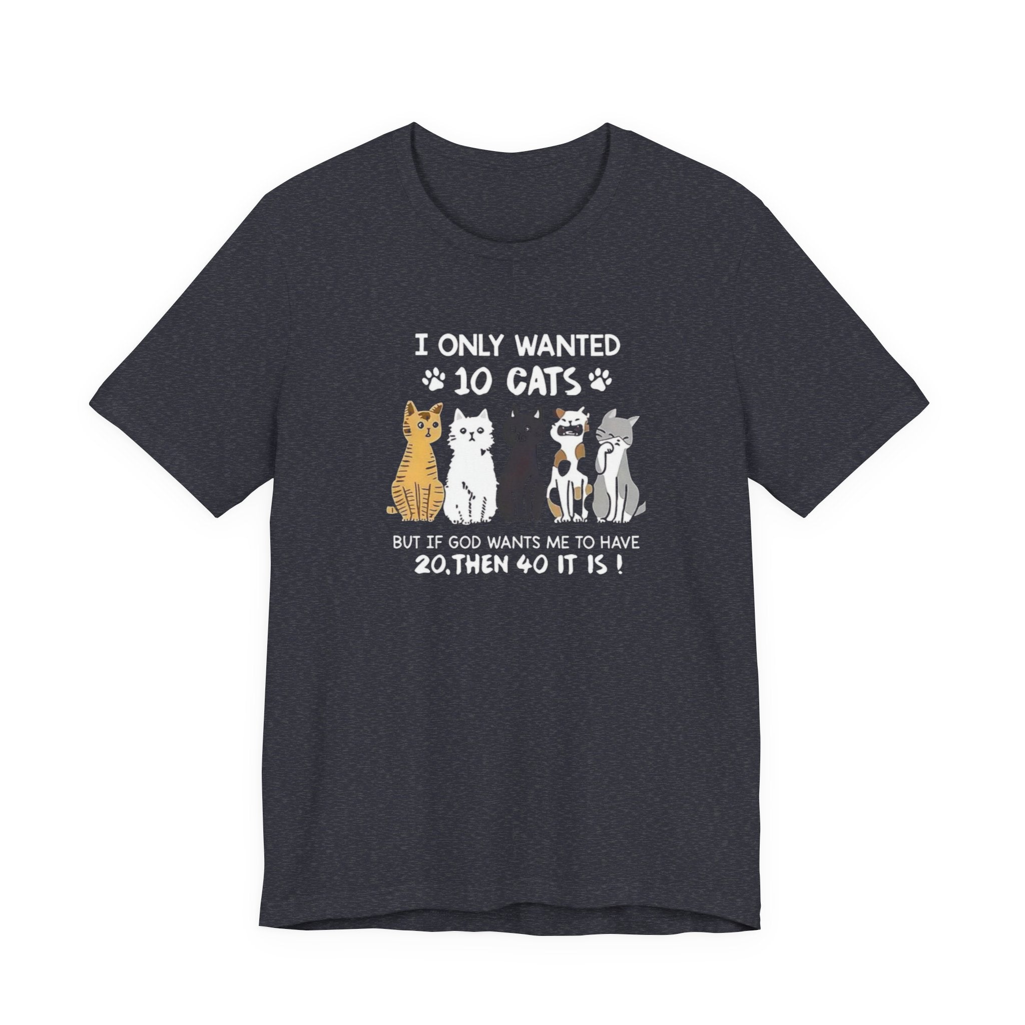 I Only Wanted 10 Cats tee | Cat Lover T-Shirt, Funny Cat Quote
