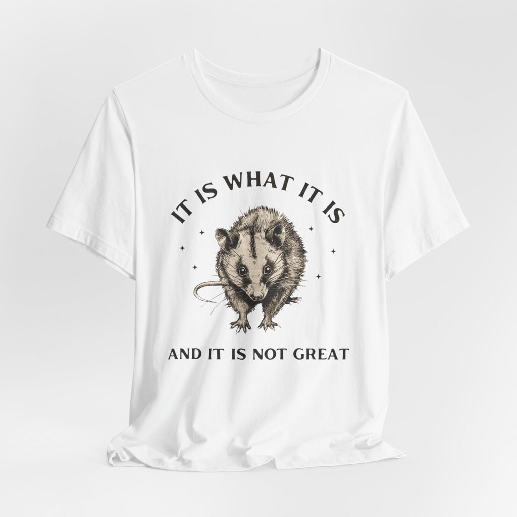Humorous Opossum Tee - "It Is What It Is" Graphic T-Shirt, Funny Gift, Casual Wear, Animal Lover, Birthday, Gift for Friends