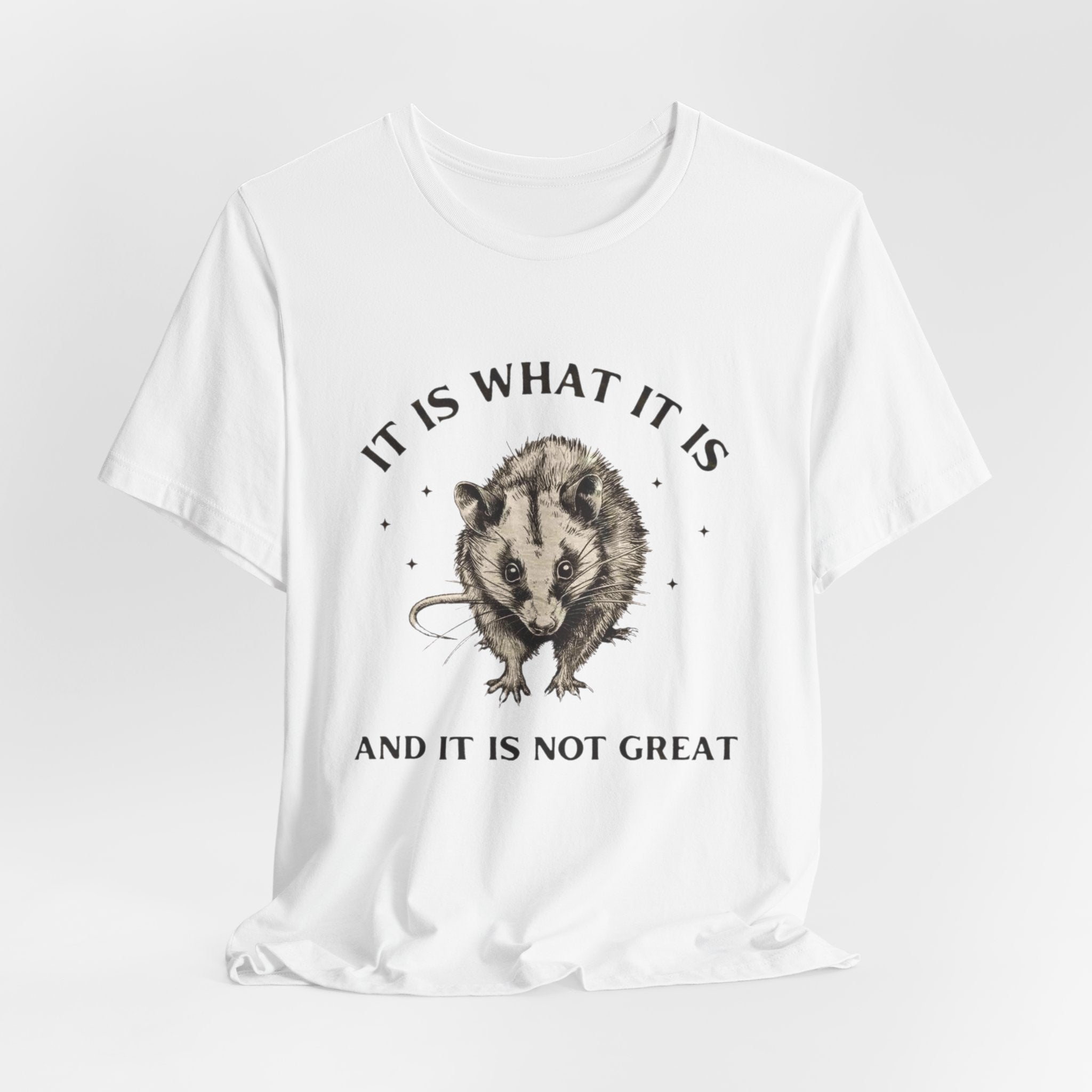 Humorous Opossum Tee - "It Is What It Is" Graphic T-Shirt, Funny Gift, Casual Wear, Animal Lover, Birthday, Gift for Friends