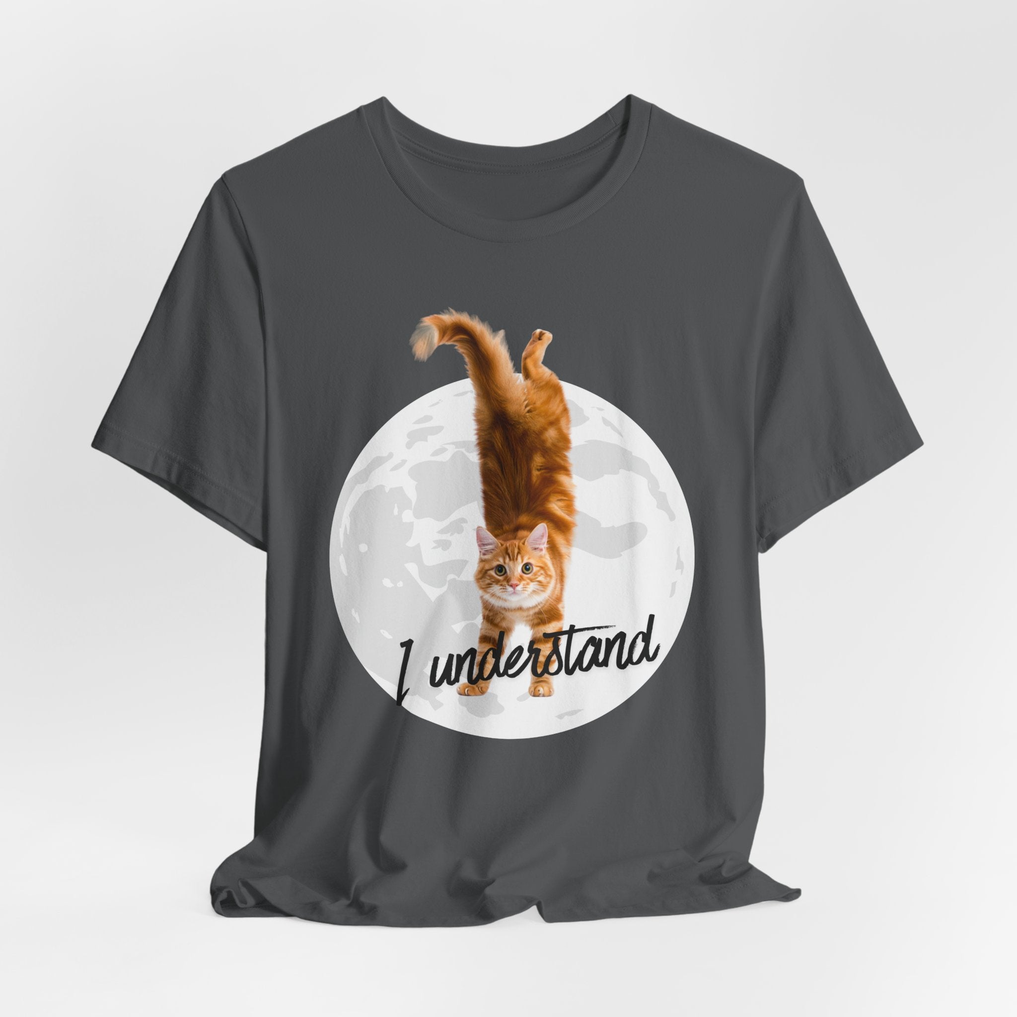 I Understand Cat Moon illustration tee | Ginger Cat, Moon Graphic Shirt